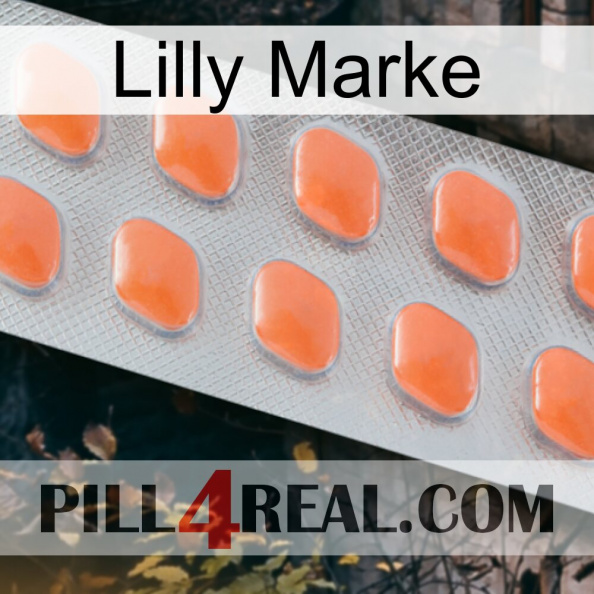 Lilly Brand 26.jpg